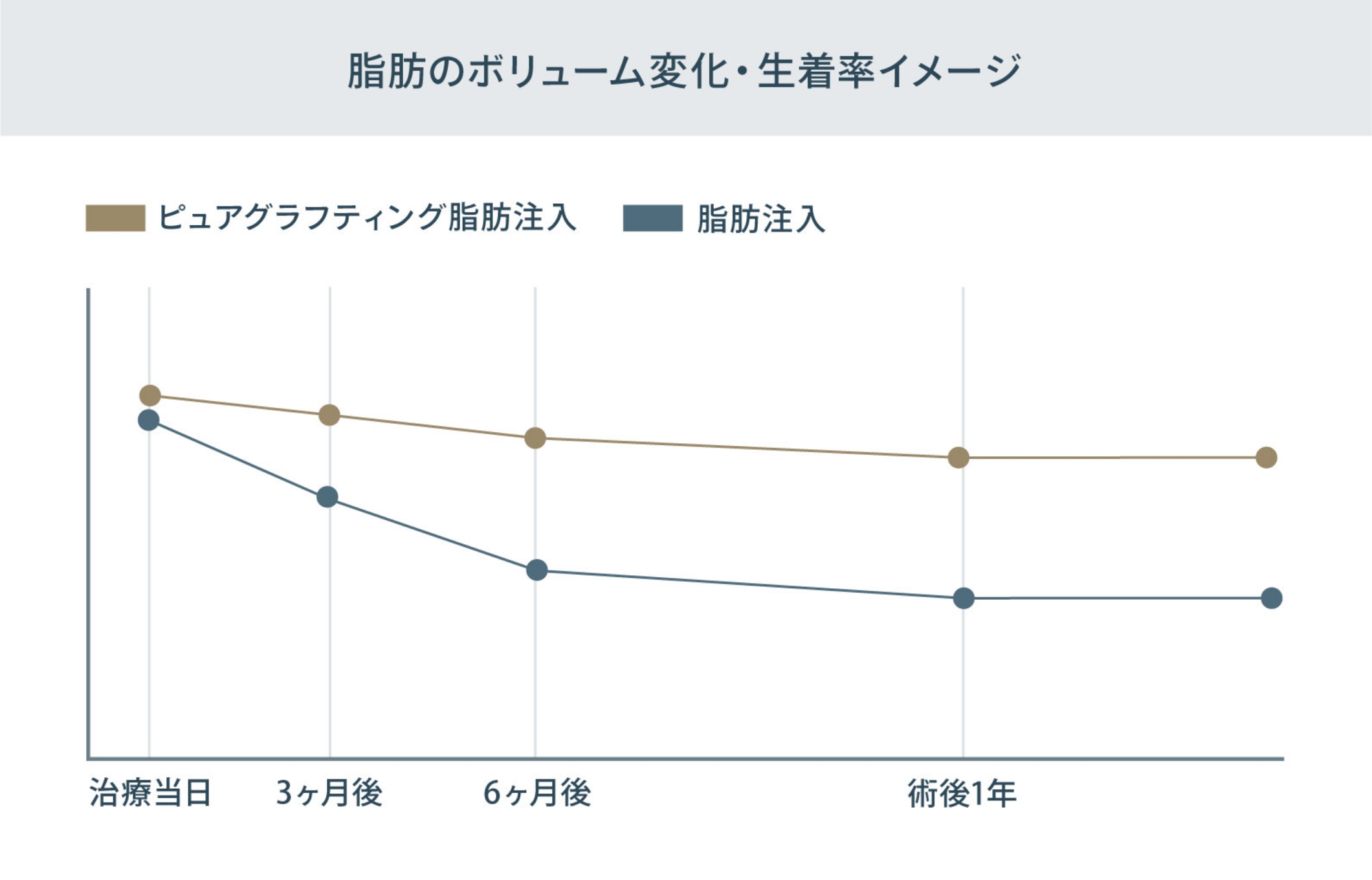 注入した脂肪が安定するのは約1年後